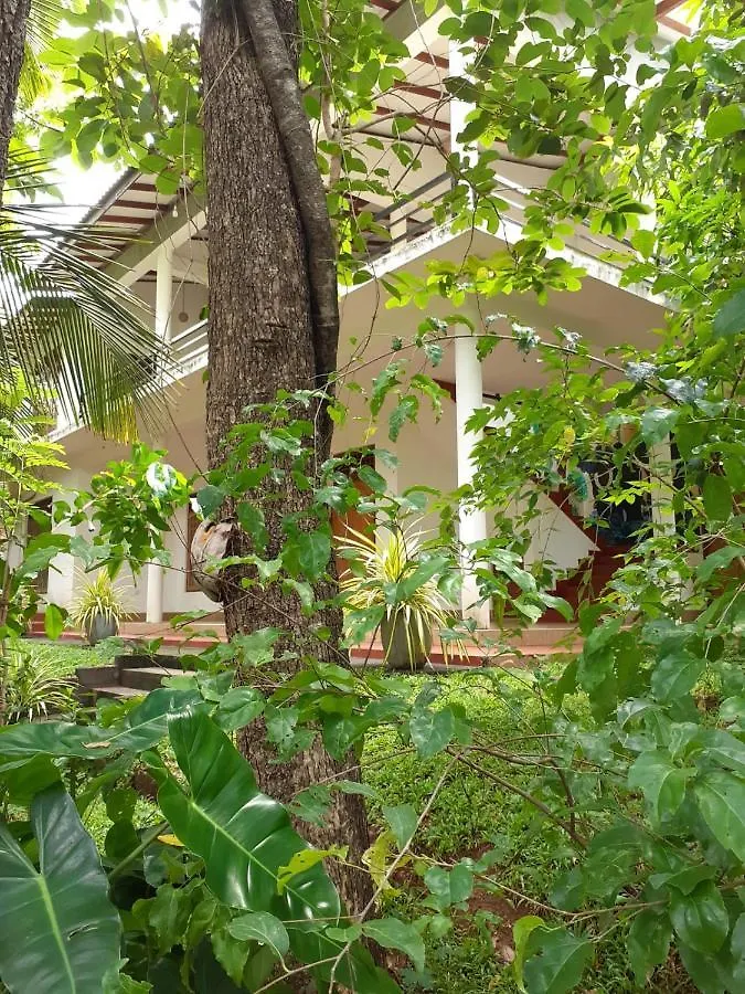 Yonara Green Rest Habarana