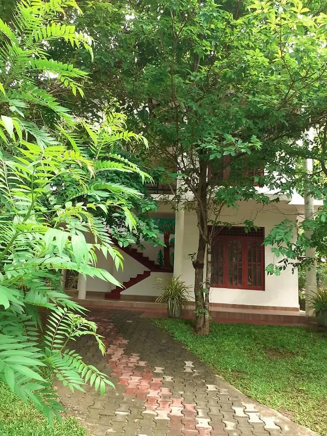 Yonara Green Rest Habarana Sri Lanka