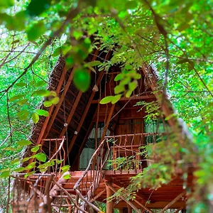 3* Station touristique Tree House Ambasewana