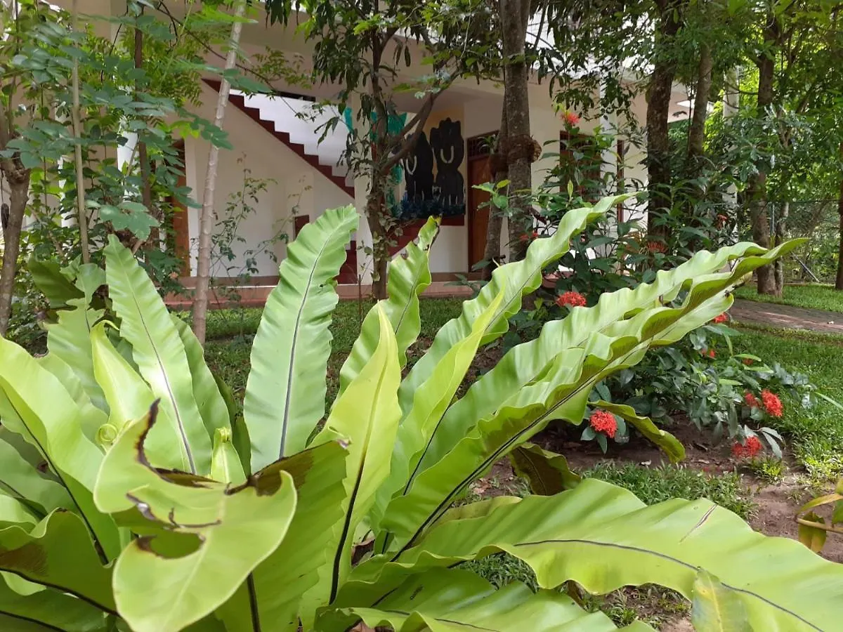 Yonara Green Rest Habarana Daire